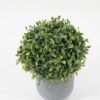 Artificial Plant 14*14*17cm Grass in PP pot GS-30622035 Potted Flowers&Plants YeahFlower is one of Chinese leading OEM manufacturers and exporters , supplying the silk flowers, wholesale artificial trees