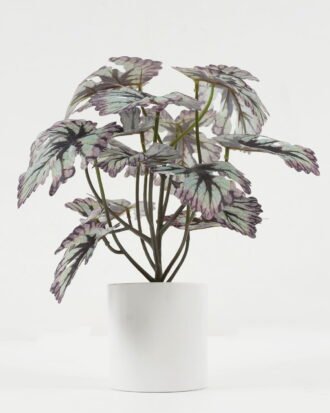 Artificial Plant 25*25*29cm Hitom leaf in PP pot GS-05522009-R1 Potted Flowers&Plants YeahFlower is one of Chinese leading OEM manufacturers and exporters , supplying the silk flowers, wholesale artificial trees
