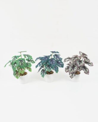 Artificial Plant 25*25*29cm Hitom leaf in PP pot GS-05522009 Potted Flowers&Plants YeahFlower is one of Chinese leading OEM manufacturers and exporters , supplying the silk flowers, wholesale artificial trees Artificial Plant 25*25*29cm Hitom leaf in PP pot GS-05522009 Potted Flowers&Plants YeahFlower is one of Chinese leading OEM manufacturers and exporters , supplying the silk flowers, wholesale artificial trees