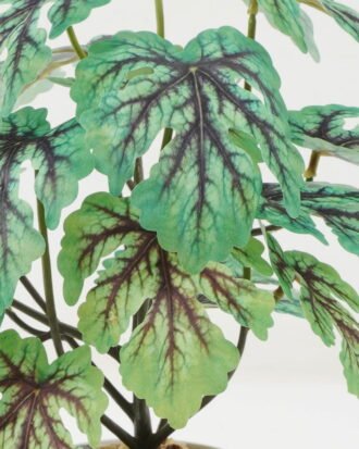 Artificial Plant 25*25*29cm Hitom leaf in PP pot GS-05522009 Potted Flowers&Plants YeahFlower is one of Chinese leading OEM manufacturers and exporters , supplying the silk flowers, wholesale artificial trees Artificial Plant 25*25*29cm Hitom leaf in PP pot GS-05522009 Potted Flowers&Plants YeahFlower is one of Chinese leading OEM manufacturers and exporters , supplying the silk flowers, wholesale artificial trees