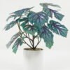 Artificial Plant Hitom leaf in PP pot GS-05522009_4 Artificial Plant 25*25*29cm Hitom leaf in PP pot GS-05522009 Potted Flowers&Plants YeahFlower is one of Chinese leading OEM manufacturers and exporters , supplying the silk flowers, wholesale artificial trees