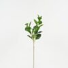 Artificial Plant Leaf 3 single stem GS-14322008_3 Artificial Plant 20*20*64cm Leaf *3 single stem GS-14322008 Leaves&Sprays&Foliages 3,000+ sqm showroom with thousands of artificial flowers, plants & trees ready for global sourcing.