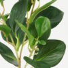 Artificial Plant Leaf 3 single stem GS-14322008_4 Artificial Plant 20*20*64cm Leaf *3 single stem GS-14322008 Leaves&Sprays&Foliages 3,000+ sqm showroom with thousands of artificial flowers, plants & trees ready for global sourcing.