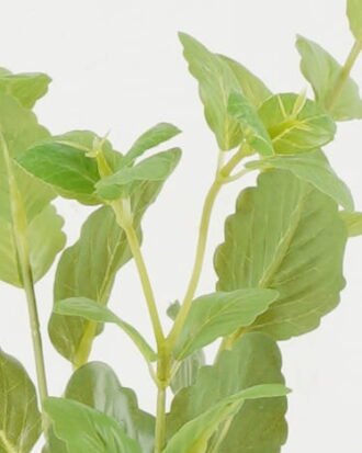 Artificial Plant 20*20*78cm Leaf *5 single stem GS-14322003 Leaves&Sprays&Foliages YeahFlower is one of Chinese leading OEM manufacturers and exporters , supplying the silk flowers, wholesale artificial trees