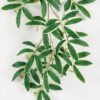 Artificial Plant Leaf garland GS-67622003_1 Artificial Plant 25*25*170cm Leaf garland GS-67622003 Banners&Garlands YeahFlower is one of Chinese leading OEM manufacturers and exporters , supplying the silk flowers, wholesale artificial trees