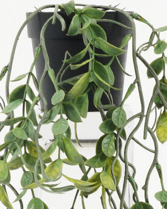 Artificial Plant Leaf in PP pot GS-05522013_3 Artificial Plant 27*27*54cm Leaf in PP pot GS-05522013 Potted Flowers&Plants YeahFlower is one of Chinese leading OEM manufacturers and exporters , supplying the silk flowers, wholesale artificial trees