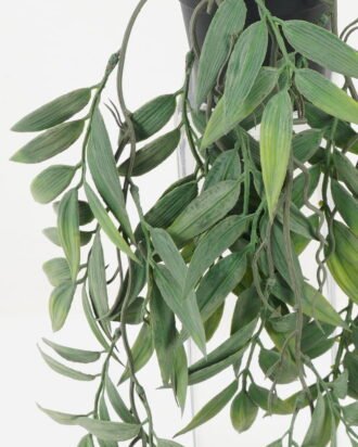 Artificial Plant 39*39*50cm Leaf in PP pot GS-05522027 Potted Flowers&Plants YeahFlower is one of Chinese leading OEM manufacturers and exporters , supplying the silk flowers, wholesale artificial trees