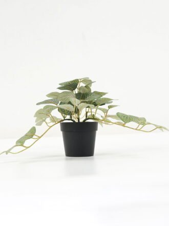 Artificial Plant 25*25*19cm Leaf in PP pot GS-05522048 Potted Flowers&Plants 3,000+ sqm showroom with thousands of artificial flowers, plants & trees ready for global sourcing.