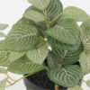Artificial Plant Leaf in PP pot GS-05522049_2 Artificial Plant 35*35*18cm Leaf in PP pot GS-05522049 Potted Flowers&Plants YeahFlower is one of Chinese leading OEM manufacturers and exporters , supplying the silk flowers, wholesale artificial trees