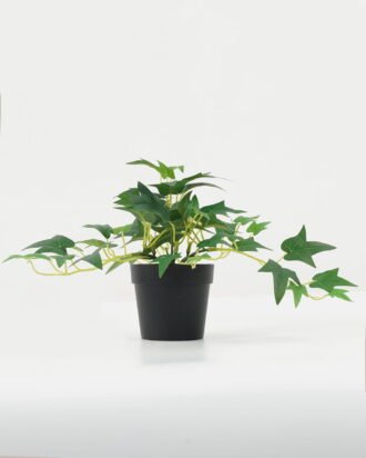 Artificial Plant 28*28*20cm Leaf in PP pot GS-05522050 Potted Flowers&Plants YeahFlower is one of Chinese leading OEM manufacturers and exporters , supplying the silk flowers, wholesale artificial trees