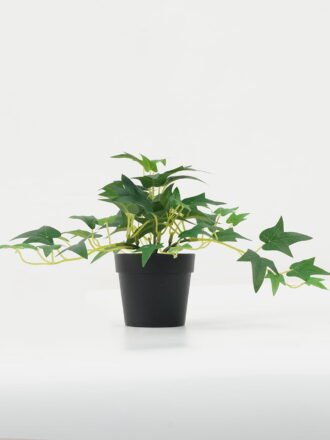 Artificial Plant 35*35*18cm Leaf in PP pot GS-05522049 Potted Flowers&Plants 3,000+ sqm showroom with thousands of artificial flowers, plants & trees ready for global sourcing.