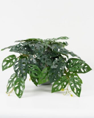 Artificial Plant 52*52*26cm Leaf in PP pot GS-30622024 Potted Flowers&Plants YeahFlower is one of Chinese leading OEM manufacturers and exporters , supplying the silk flowers, wholesale artificial trees Artificial Plant 52*52*26cm Leaf in PP pot GS-30622024 Potted Flowers&Plants YeahFlower is one of Chinese leading OEM manufacturers and exporters , supplying the silk flowers, wholesale artificial trees