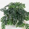 Artificial Plant Leaf in PP pot GS-30622024_1 Artificial Plant 52*52*26cm Leaf in PP pot GS-30622024 Potted Flowers&Plants YeahFlower is one of Chinese leading OEM manufacturers and exporters , supplying the silk flowers, wholesale artificial trees