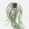 Artificial Plant 33*33*60cm Malt grass in PP pot GS-05522011 Potted Flowers&Plants YeahFlower is one of Chinese leading OEM manufacturers and exporters , supplying the silk flowers, wholesale artificial trees