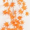 Artificial Plant 25*25*170cm Maple leaf garland GS-67622002-O1 Banners&Garlands YeahFlower is one of Chinese leading OEM manufacturers and exporters , supplying the silk flowers, wholesale artificial trees