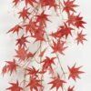 Artificial Plant Maple leaf garland GS-67622002-R1_1 Artificial Plant 25*25*170cm Maple leaf garland GS-67622002-R1 Banners&Garlands YeahFlower is one of Chinese leading OEM manufacturers and exporters , supplying the silk flowers, wholesale artificial trees