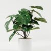 Artificial Plant Monstera in PP pot GS-05522008-G2_4 Artificial Plant 27*27*30cm Monstera in PP pot GS-05522008-G2 Potted Flowers&Plants YeahFlower is one of Chinese leading OEM manufacturers and exporters , supplying the silk flowers, wholesale artificial trees