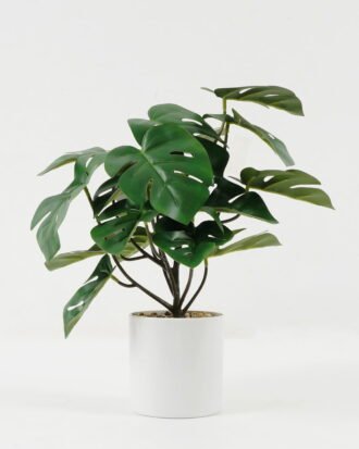 Artificial Plant 27*27*30cm Monstera in PP pot GS-05522008-G2 Potted Flowers&Plants YeahFlower is one of Chinese leading OEM manufacturers and exporters , supplying the silk flowers, wholesale artificial trees Artificial Plant 27*27*30cm Monstera in PP pot GS-05522008-G2 Potted Flowers&Plants YeahFlower is one of Chinese leading OEM manufacturers and exporters , supplying the silk flowers, wholesale artificial trees