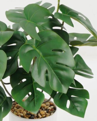 Artificial Plant 27*27*30cm Monstera in PP pot GS-05522008-G2 Potted Flowers&Plants YeahFlower is one of Chinese leading OEM manufacturers and exporters , supplying the silk flowers, wholesale artificial trees Artificial Plant 27*27*30cm Monstera in PP pot GS-05522008-G2 Potted Flowers&Plants YeahFlower is one of Chinese leading OEM manufacturers and exporters , supplying the silk flowers, wholesale artificial trees