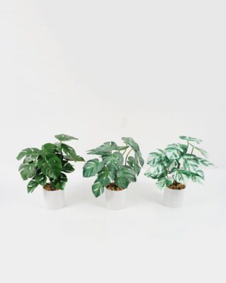 Artificial Plant 27*27*30cm Monstera in PP pot GS-05522008 Potted Flowers&Plants YeahFlower is one of Chinese leading OEM manufacturers and exporters , supplying the silk flowers, wholesale artificial trees Artificial Plant 27*27*30cm Monstera in PP pot GS-05522008 Potted Flowers&Plants YeahFlower is one of Chinese leading OEM manufacturers and exporters , supplying the silk flowers, wholesale artificial trees