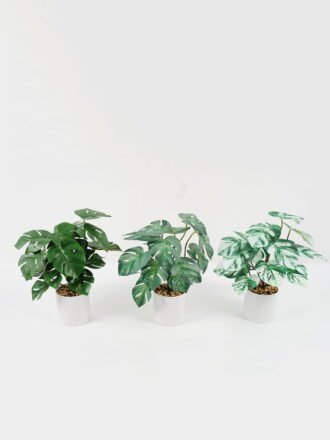 Artificial Plant 26*26*53cm Leaf in PP pot GS-05522028 Potted Flowers&Plants YeahFlower is one of Chinese leading OEM manufacturers and exporters , supplying the silk flowers, wholesale artificial trees