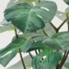 Artificial Plant 27*27*30cm Monstera in PP pot GS-05522008 Potted Flowers&Plants YeahFlower is one of Chinese leading OEM manufacturers and exporters , supplying the silk flowers, wholesale artificial trees