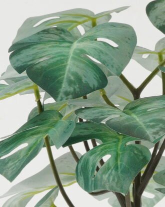 Artificial Plant 27*27*30cm Monstera in PP pot GS-05522008 Potted Flowers&Plants YeahFlower is one of Chinese leading OEM manufacturers and exporters , supplying the silk flowers, wholesale artificial trees Artificial Plant 27*27*30cm Monstera in PP pot GS-05522008 Potted Flowers&Plants YeahFlower is one of Chinese leading OEM manufacturers and exporters , supplying the silk flowers, wholesale artificial trees
