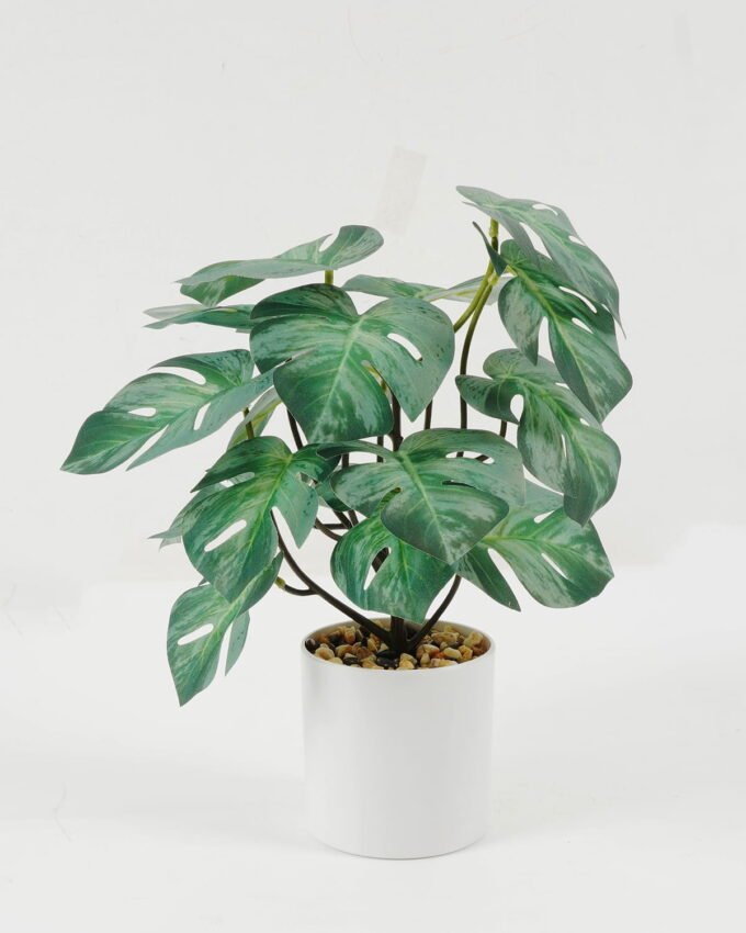 Artificial Plant 27*27*30cm Monstera in PP pot GS-05522008 Potted Flowers&Plants YeahFlower is one of Chinese leading OEM manufacturers and exporters , supplying the silk flowers, wholesale artificial trees