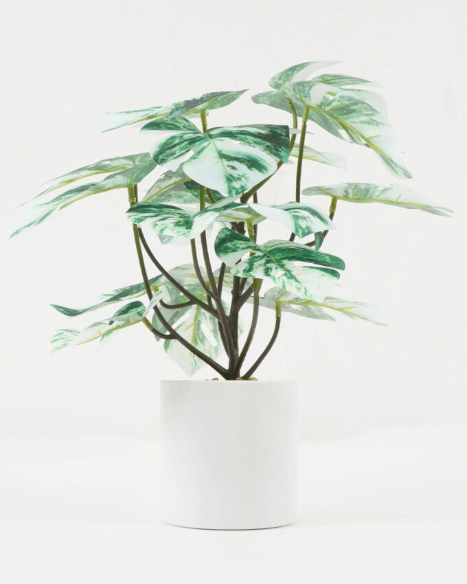 Artificial Plant 27*27*30cm Monstera in PP pot GS-05522008 Potted Flowers&Plants YeahFlower is one of Chinese leading OEM manufacturers and exporters , supplying the silk flowers, wholesale artificial trees