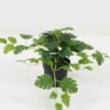 Artificial Plant 25*25*19cm Monstera in PP pot GS-05522051 Potted Flowers&Plants YeahFlower is one of Chinese leading OEM manufacturers and exporters , supplying the silk flowers, wholesale artificial trees