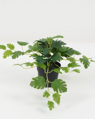 Artificial Plant 25*25*19cm Monstera in PP pot GS-05522051 Potted Flowers&Plants YeahFlower is one of Chinese leading OEM manufacturers and exporters , supplying the silk flowers, wholesale artificial trees