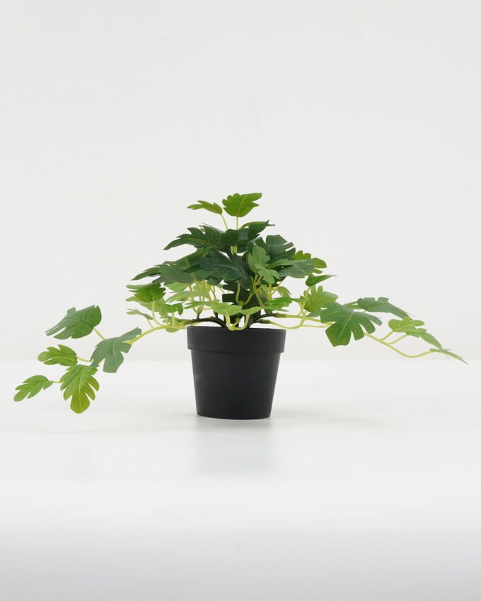 Artificial Plant 25*25*19cm Monstera in PP pot GS-05522051 Potted Flowers&Plants YeahFlower is one of Chinese leading OEM manufacturers and exporters , supplying the silk flowers, wholesale artificial trees
