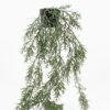 Artificial Plant Rosemary cane in PP pot GS-05522037_3 Artificial Plant 28*28*55cm Rosemary cane in PP pot GS-05522037 Potted Flowers&Plants YeahFlower is one of Chinese leading OEM manufacturers and exporters , supplying the silk flowers, wholesale artificial trees