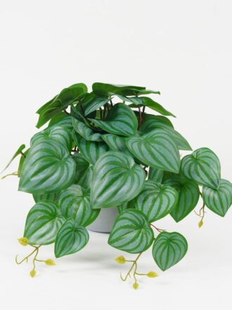 Artificial Plant 44*44*26cm Begonia leaf in PP pot GS-30622026 Potted Flowers&Plants 3,000+ sqm showroom with thousands of artificial flowers, plants & trees ready for global sourcing.