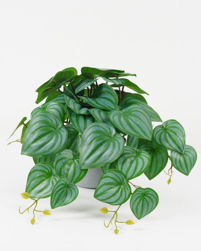 Artificial Plant 39*39*24cm Watermelon leaf in PP pot GS-30622025 Potted Flowers&Plants YeahFlower is one of Chinese leading OEM manufacturers and exporters , supplying the silk flowers, wholesale artificial trees