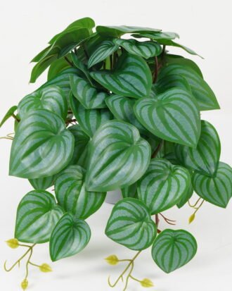 Artificial Plant 39*39*24cm Watermelon leaf in PP pot GS-30622025 Potted Flowers&Plants YeahFlower is one of Chinese leading OEM manufacturers and exporters , supplying the silk flowers, wholesale artificial trees Artificial Plant 39*39*24cm Watermelon leaf in PP pot GS-30622025 Potted Flowers&Plants YeahFlower is one of Chinese leading OEM manufacturers and exporters , supplying the silk flowers, wholesale artificial trees