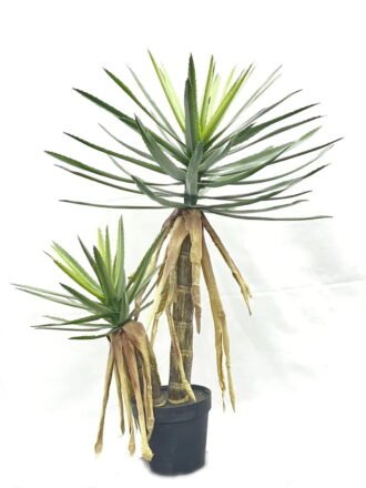 Artificial Tree 150cm Aloe*2 in PP pot GS-41922069 Tree&Plant 3,000+ sqm showroom with thousands of artificial flowers, plants & trees ready for global sourcing.