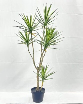 Artificial Tree 120cm Dracaena*7 in PP pot GS-41922040 Tree&Plant YeahFlower is one of Chinese leading OEM manufacturers and exporters , supplying the silk flowers, wholesale artificial trees