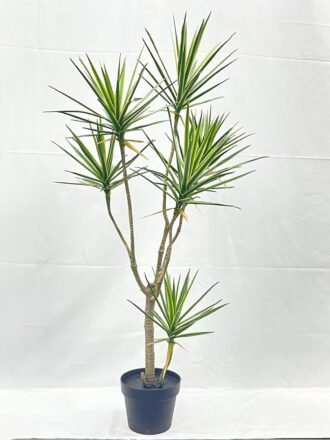 Artificial Tree 150cm Dracaena*9 in PP pot GS-41922041 Tree&Plant 3,000+ sqm showroom with thousands of artificial flowers, plants & trees ready for global sourcing.