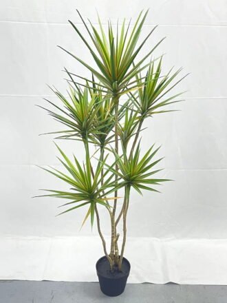 Artificial Tree 160cm Tequila*5 in PP pot GS-41922033 Tree&Plant 3,000+ sqm showroom with thousands of artificial flowers, plants & trees ready for global sourcing.