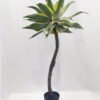 Artificial Tree 120cm Tequila in PP pot GS-41922028 Artificial Tree 120cm Tequila in PP pot GS-41922028 Tree&Plant YeahFlower is one of Chinese leading OEM manufacturers and exporters , supplying the silk flowers, wholesale artificial trees