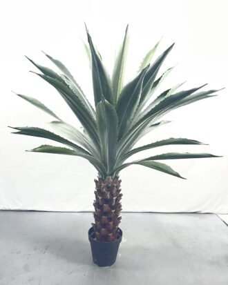 Artificial Tree 155cm Tequila in PP pot GS-41922064 Tree&Plant YeahFlower is one of Chinese leading OEM manufacturers and exporters , supplying the silk flowers, wholesale artificial trees Artificial Tree 155cm Tequila in PP pot GS-41922064 Tree&Plant YeahFlower is one of Chinese leading OEM manufacturers and exporters , supplying the silk flowers, wholesale artificial trees