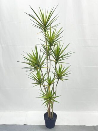 Artificial Tree 140cm Dracaena*9 in PP pot GS-41922046 Tree&Plant 3,000+ sqm showroom with thousands of artificial flowers, plants & trees ready for global sourcing.