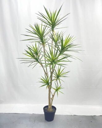 Artificial Tree 180cm Dracaena*11 in PP pot GS-41922042 Tree&Plant YeahFlower is one of Chinese leading OEM manufacturers and exporters , supplying the silk flowers, wholesale artificial trees