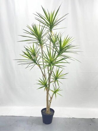 Artificial Tree 150cm Dracaena*9 in PP pot GS-41922041 Tree&Plant 3,000+ sqm showroom with thousands of artificial flowers, plants & trees ready for global sourcing.