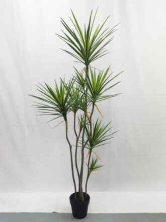 Artificial Tree 220cm Dracaena*12 in PP pot GS-41922054 Tree&Plant 3,000+ sqm showroom with thousands of artificial flowers, plants & trees ready for global sourcing.