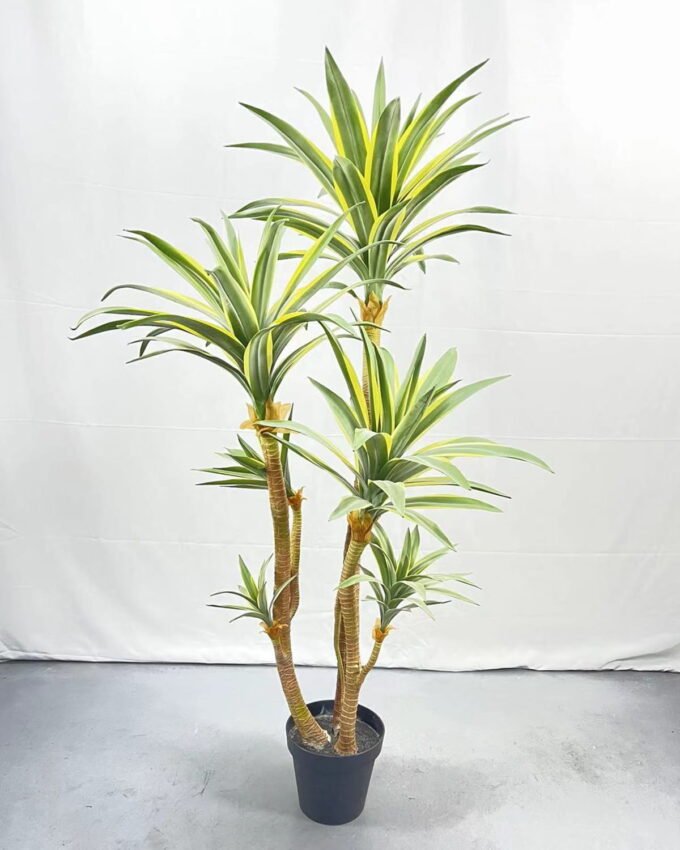Artificial Tree 180cm Tequila*6 in PP pot GS-41922034 Tree&Plant YeahFlower is one of Chinese leading OEM manufacturers and exporters , supplying the silk flowers, wholesale artificial trees