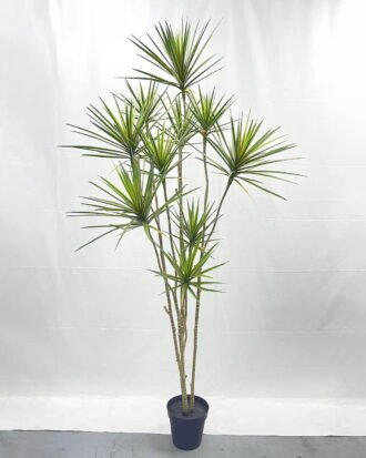 Artificial Tree 210cm Dracaena*10 in PP pot GS-41922048 Tree&Plant YeahFlower is one of Chinese leading OEM manufacturers and exporters , supplying the silk flowers, wholesale artificial trees