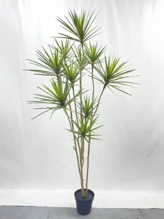 Artificial Tree 120cm Tequila in PP pot GS-41922056 Tree&Plant 3,000+ sqm showroom with thousands of artificial flowers, plants & trees ready for global sourcing.