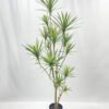 Artificial Tree 210cm Dracaena 14 in PP pot GS-41922043 Artificial Tree 210cm Dracaena*14 in PP pot GS-41922043 Tree&Plant YeahFlower is one of Chinese leading OEM manufacturers and exporters , supplying the silk flowers, wholesale artificial trees